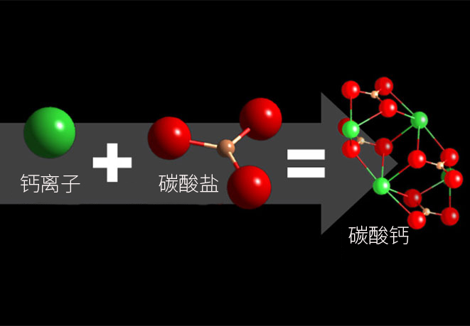 碳酸钙分子1.jpg